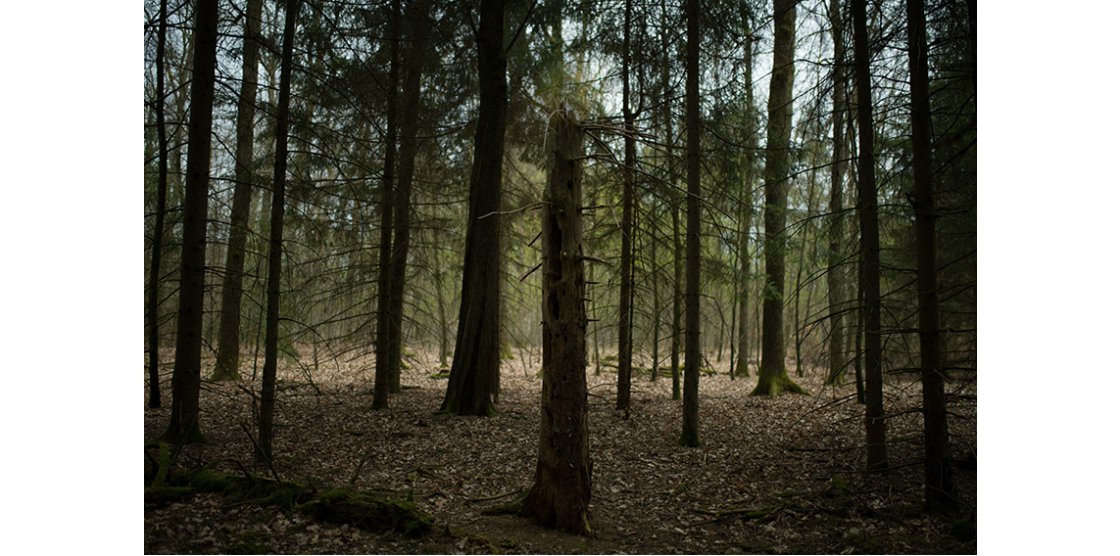 EXPOSITION METZ PHOTO 10.1 / Nathalie DOHLEN “UNE DERNIERE FOIS  (FRAGMENTS) ”