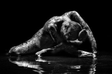 Rencontre avec  Ludovic FLORENT "Le corps mis en lumière L'approche du nu artistique par le clair-obscur"