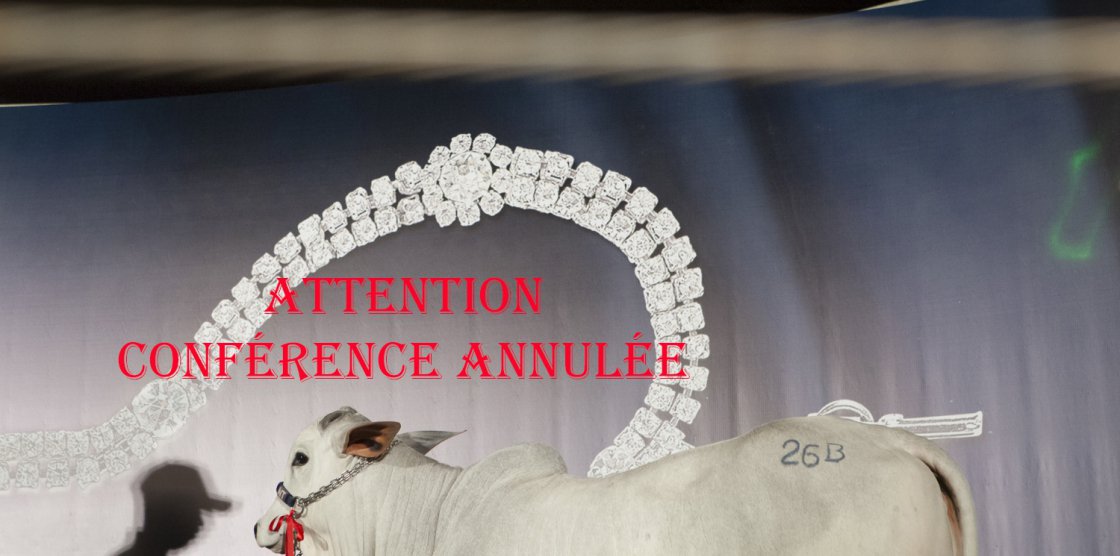 ATTENTION :  CONFÉRENCE  ANNULÉE - Rencontre avec Carolina ARANTES (Soirée publique au 2e étage)