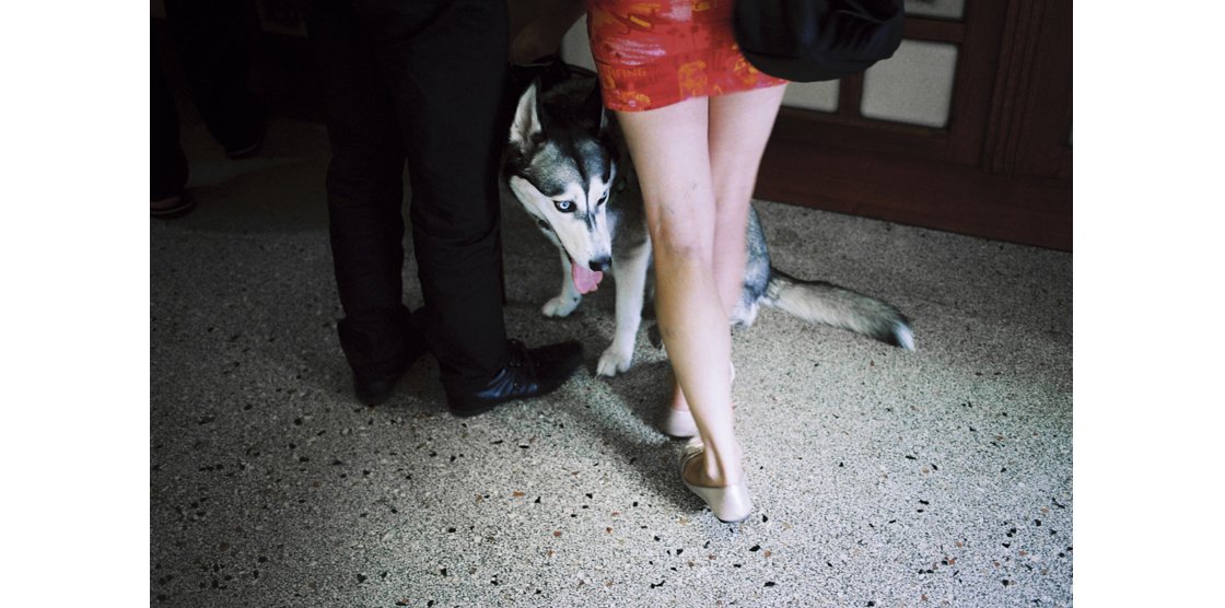 EXPOSITION COLLECTIVE AU FEMININ " DISSIDENCE"