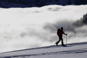 Pas de soirée ce vendredi