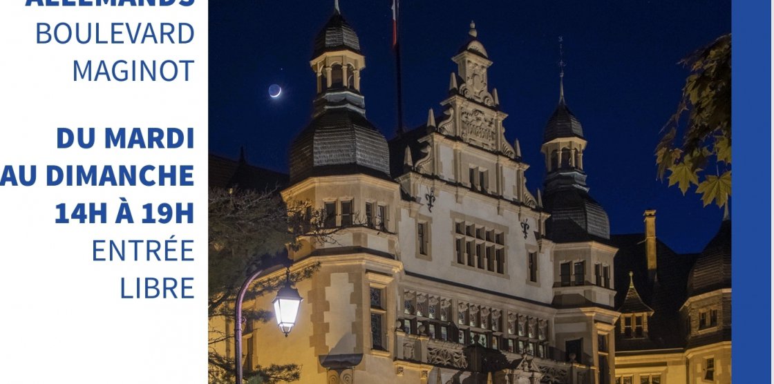 « Metz, déambulation... la nuit »