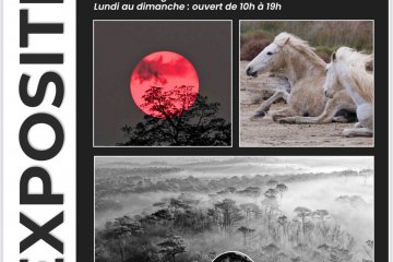 Rif photographe 