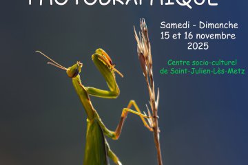 Exposition photo "La boite à photos - Saint Julien les Metz