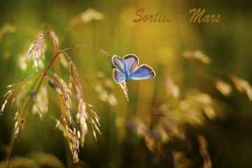 Sorties nature - Mars 2026