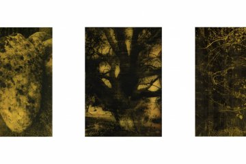 ©Anaïs Boudot - La noche oscura