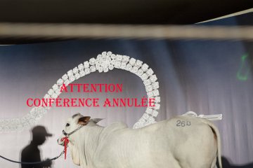 ATTENTION :  CONFÉRENCE  ANNULÉE - Rencontre avec Carolina ARANTES (Soirée publique au 2e étage)