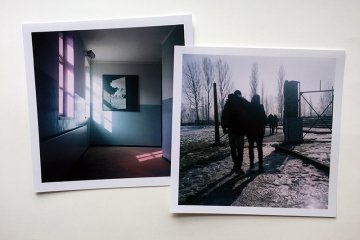 ©Bruno Dubreuil