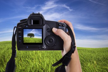 Analyses d'images