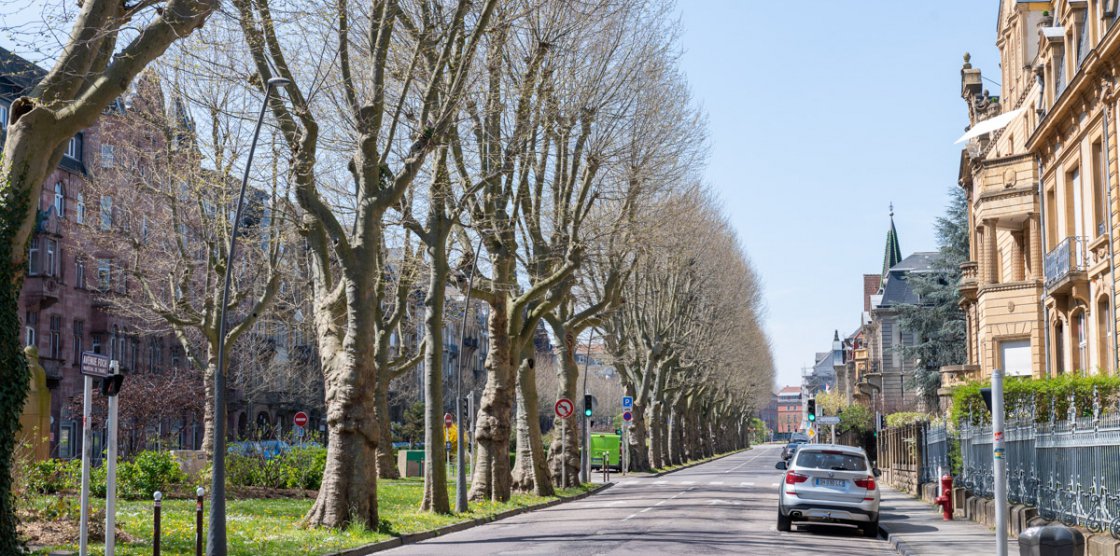 © Frédéric DUVAL